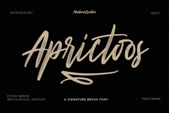 Bring Your Creations to Life with Aprictoos Font