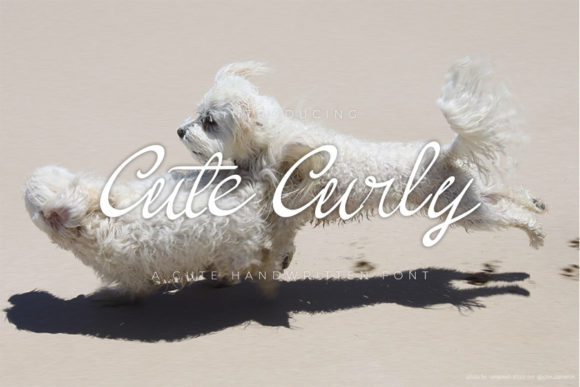 Discover Cute Curly: A Charming Handwritten Font for Editorial Design