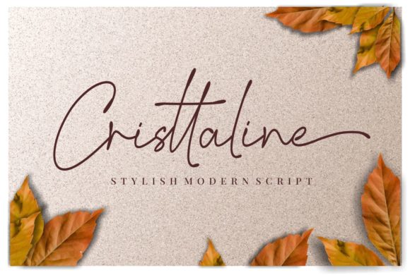 Enhance Your Brand with Cristtaline: A Luxurious Script Font