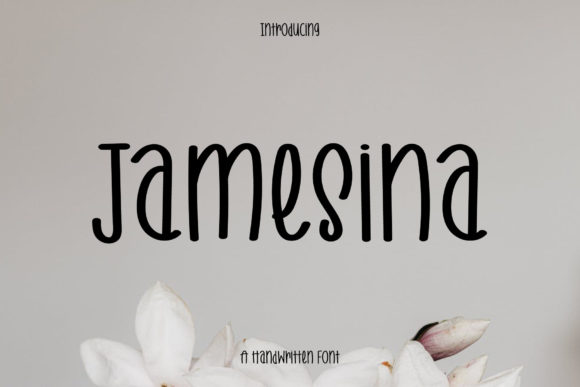 Jamesina: A Handwritten Font for Engaging Campaigns