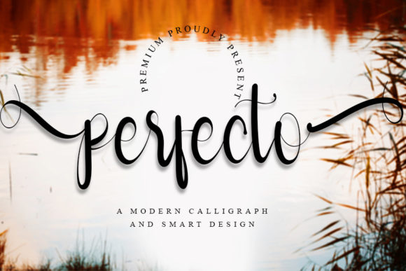 Perfecto: A Whimsical Script Font for Creative Branding
