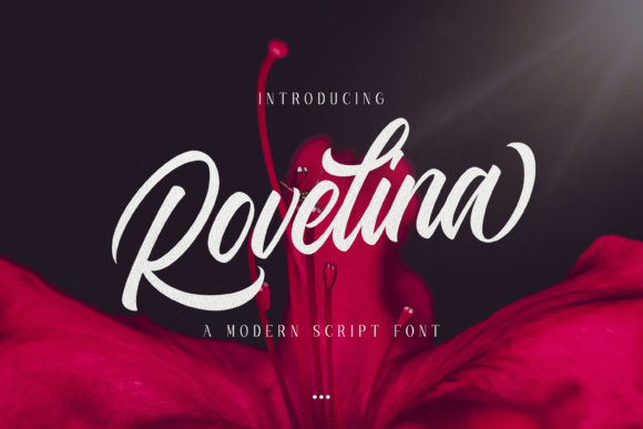 Rovelina: A Modern Script Font for Editorial Elegance