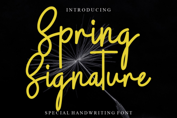 Spring Signature: A Charming Handwritten Font for Engaging Visuals